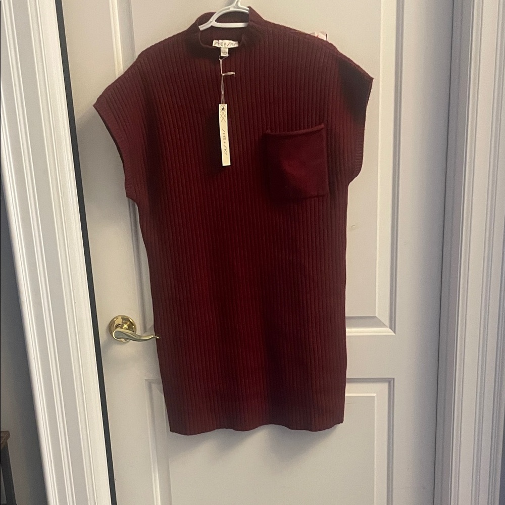 She + Sky Wine Ribbed Mini Dress